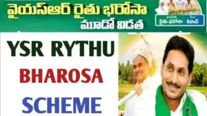 YSR Rythu Bharosa: Simplifying the Online Check Process for Farmers